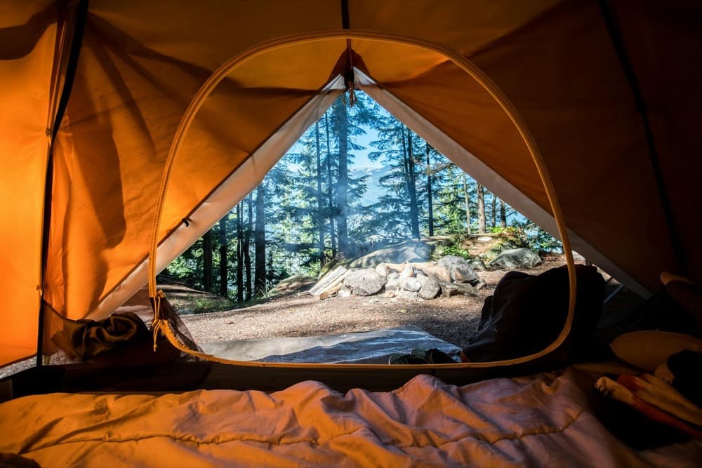 View from inside a tent at a forest campsite