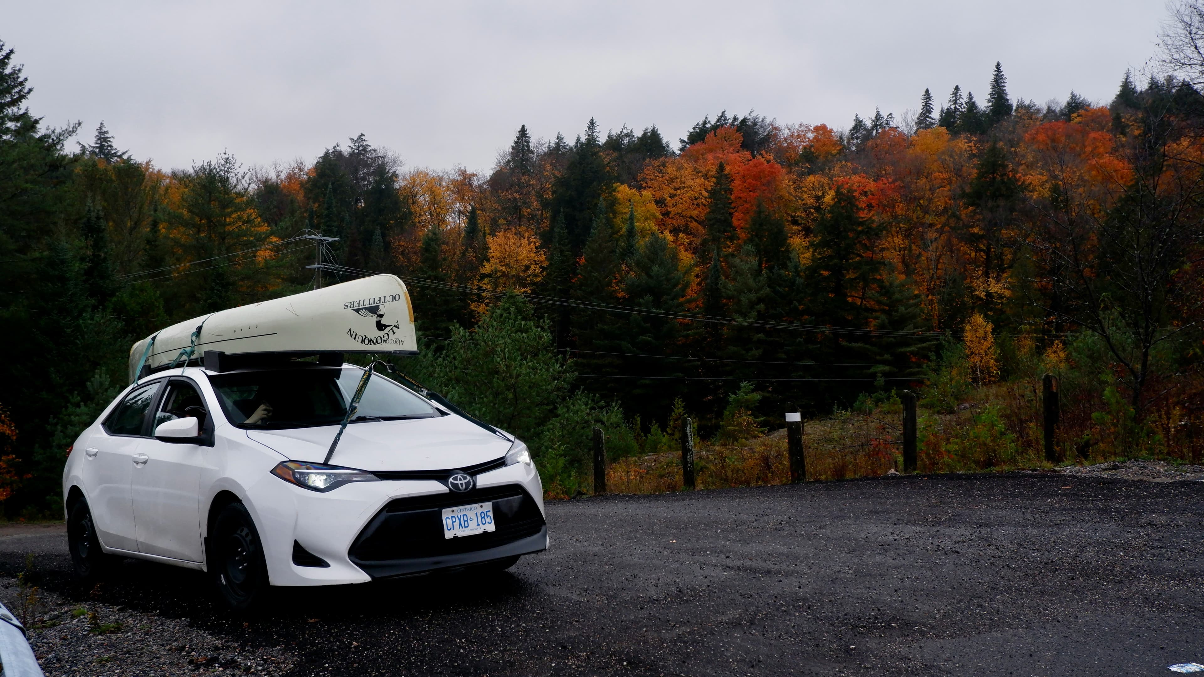 A car with an Algonquin Outfitters canoe strapped to the roof rack in front of autumn forest